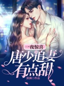 一夜惊喜,顾少轻轻宠一3q