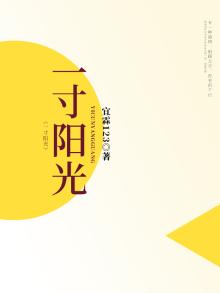 一寸阳光公司