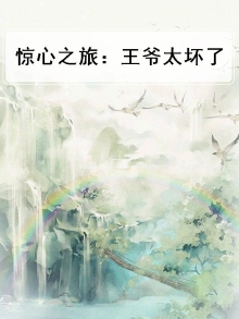 惊心之旅：王爷太坏了