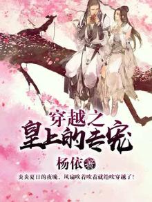 穿越之皇上的宝宝