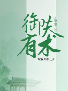 重生御夫记