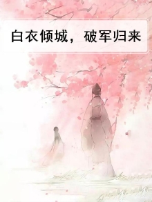 白衣倾城简介