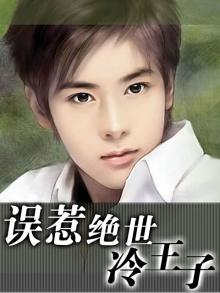 误惹绝世冷王子百度百科