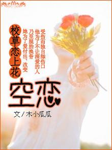 校草爱上灰姑娘小说