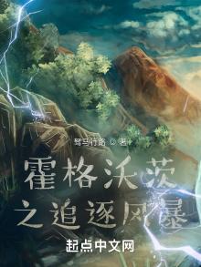 霍格沃茨之追逐风暴txt