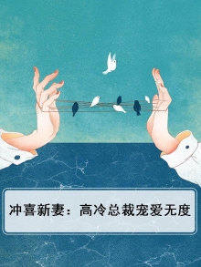冲喜新娘:总裁请节制