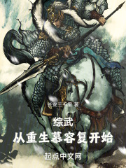 武侠重生我是慕容复小说