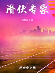 潜伏专家小说