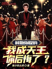 天团解散后我爆红了简介