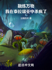 熔炉泰拉瑞亚