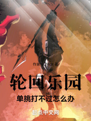 轮回乐园有队友吗