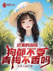 迟来的深情年深不见全文阅读