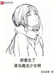 重生之我的手下都是魔法少女