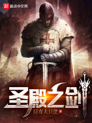 圣殿之剑 小说