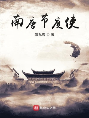 南唐节度使下载