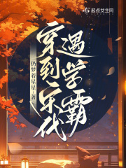 穿到宋代遇学霸小说