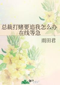 总裁打赌要追我怎么办在线等急百度网盘