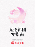 小说无逻辑是什么意思