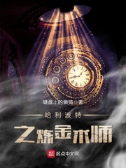 哈利波特之炼金术师小说