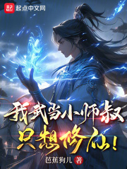 我武当小师叔,只想修仙小说