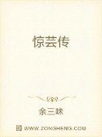 惊芸传小说