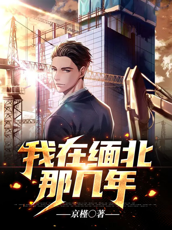 我在缅北当兵的小说