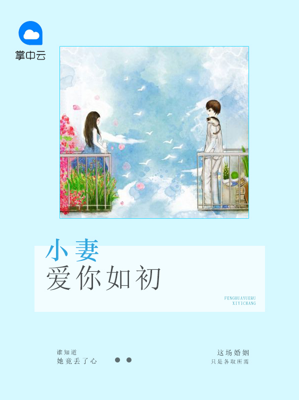 小妻爱你如初 小说