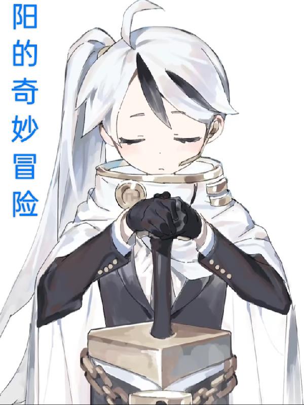 阳的奇妙冒险小说