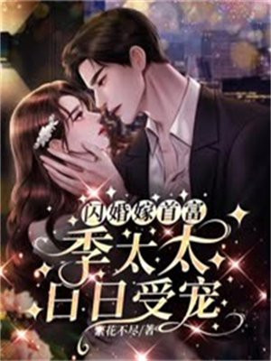 闪婚大佬:太太她又甜又飒