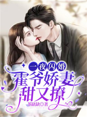 一夜情深霍少放肆宠全文免费阅读