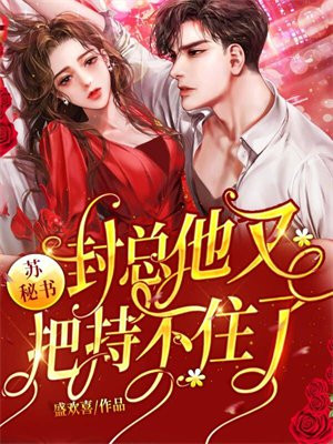 苏沁封越
