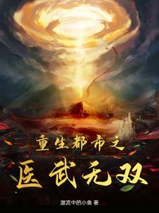 重生都市之医武仙尊