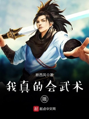 我真的会武术西窗白