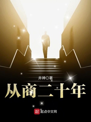 从商二十年全本免费阅读
