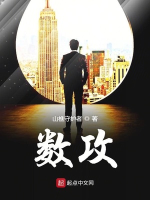 数攻精校版下载