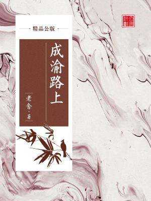成渝公路地图