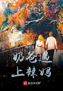 奶爸奶妈电视剧