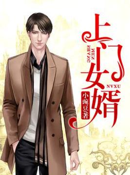 上门女婿叶辰免费阅读下载