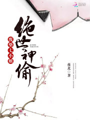 绝世神偷:废柴七小姐 夜北