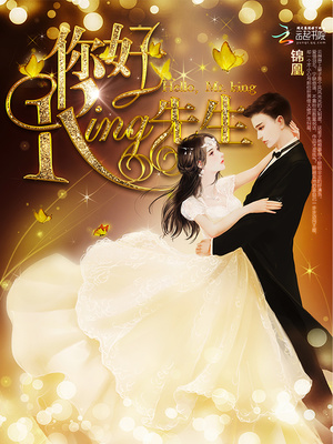 你好,king先生免费阅读无弹窗