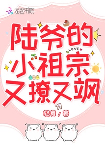 陆爷的小祖宗又撩又飒 小说