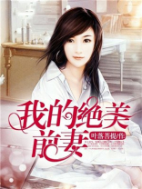 我的绝美前妻小说