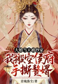 大婚当天被抄家我搬空侯府手撕赘婿下载