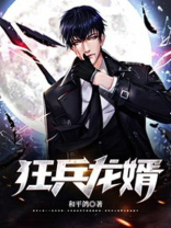 狂兵龙婿叶临免费阅读