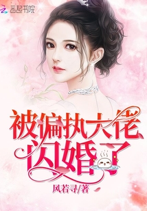 闪婚超甜偏执大佬宠她成瘾