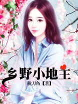 乡野小地主小说