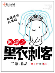 网游之黑衣刺客 小说