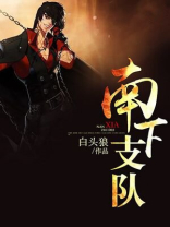 南下支队 小偷