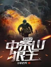 抗战之中条山狼王TXT下载