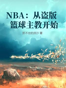 篮球有盗版吗